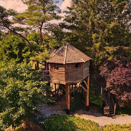 סאוטין Domaine De La Carrauterie By Terre Insolite מראה חיצוני תמונה