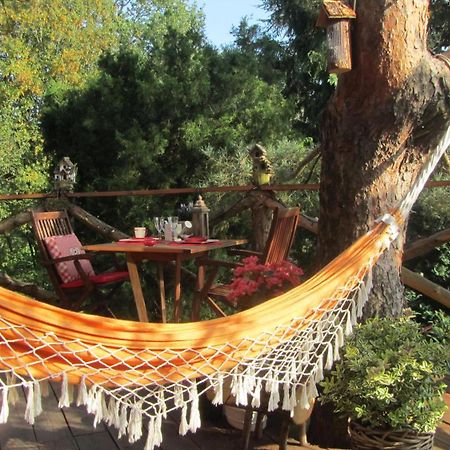 סאוטין Domaine De La Carrauterie By Terre Insolite מראה חיצוני תמונה