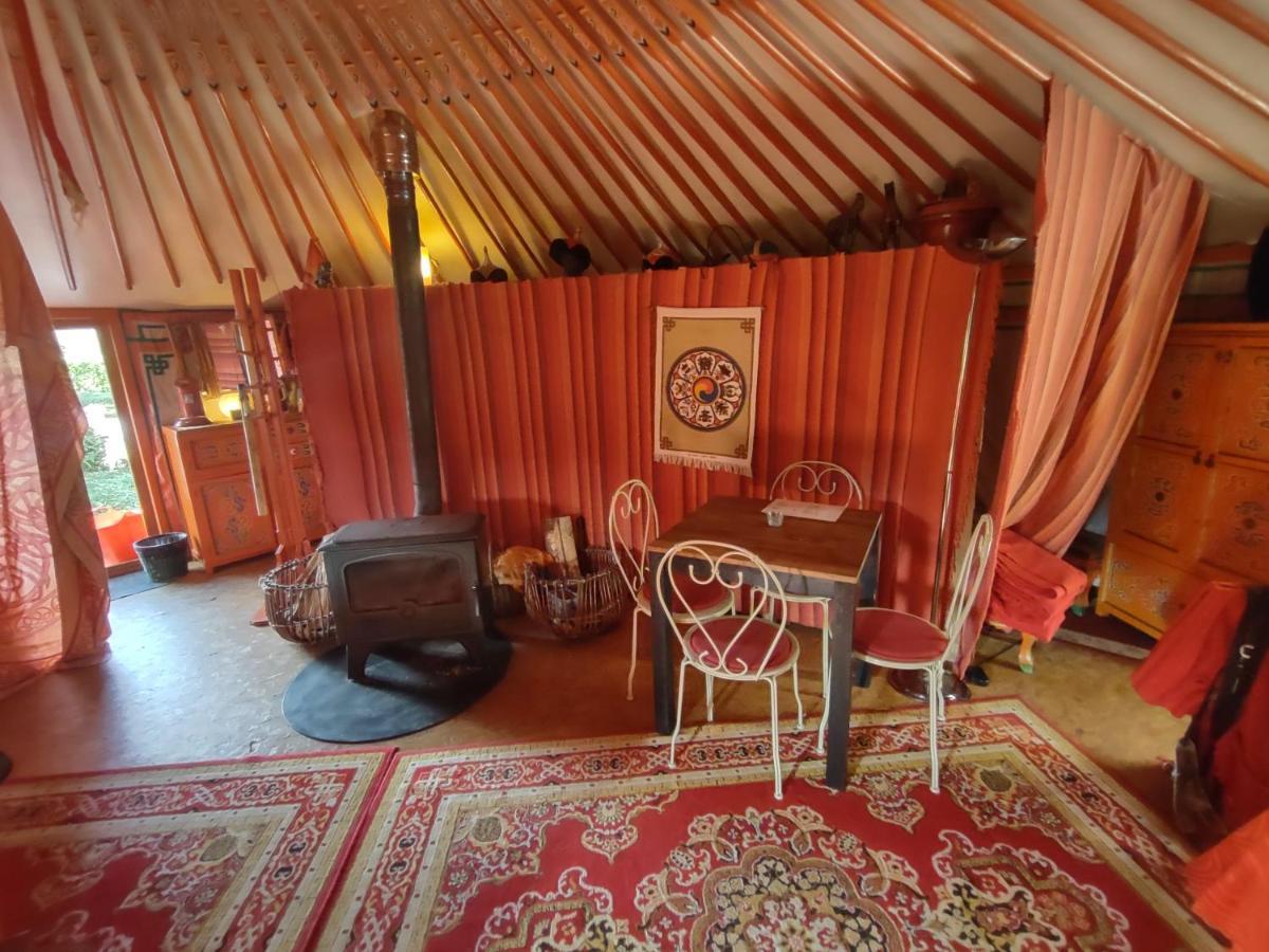 סאוטין Domaine De La Carrauterie By Terre Insolite מראה חיצוני תמונה