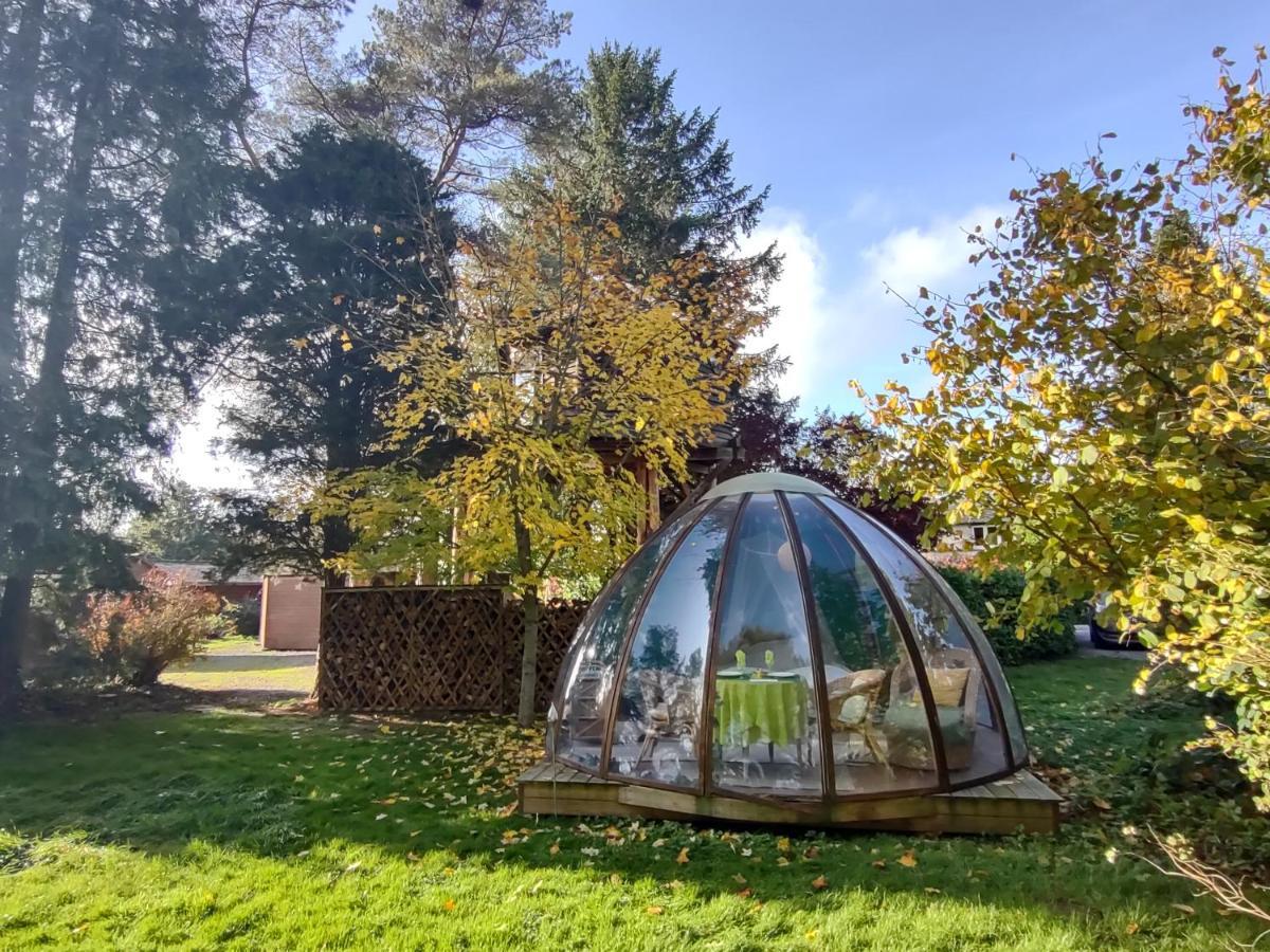 סאוטין Domaine De La Carrauterie By Terre Insolite מראה חיצוני תמונה